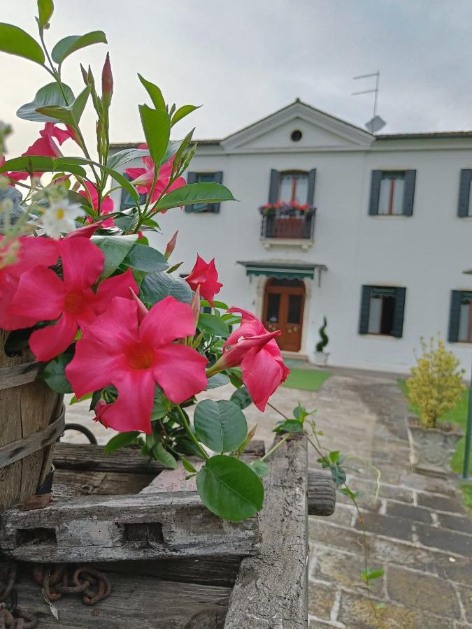 Agriturismo Villa Greggio Casalserugo Ngoại thất bức ảnh