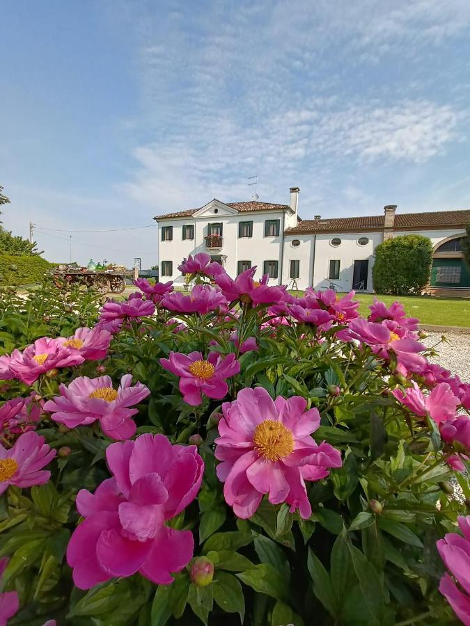 Agriturismo Villa Greggio Casalserugo Ngoại thất bức ảnh
