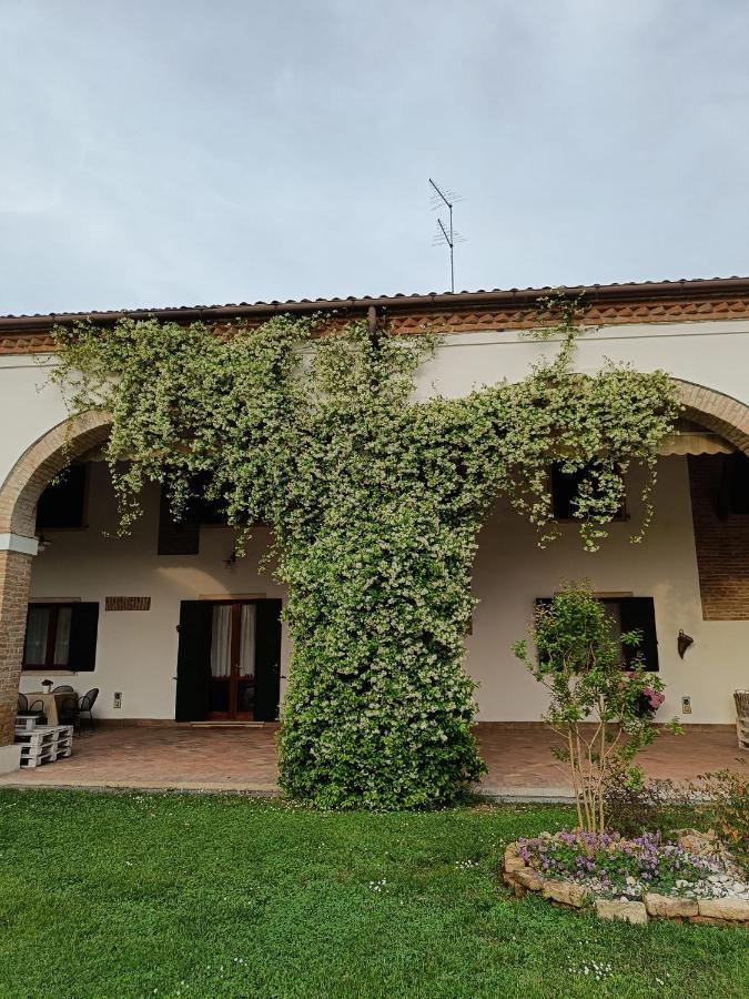 Agriturismo Villa Greggio Casalserugo Ngoại thất bức ảnh